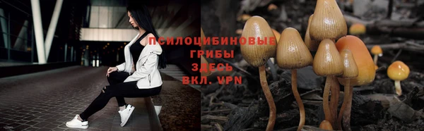 ECSTASY Алексин
