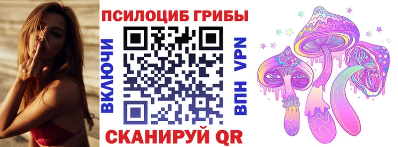 Галлюциногенные грибы MAGIC MUSHROOMS MEGA маркетплейс Миллерово хочу наркоту
